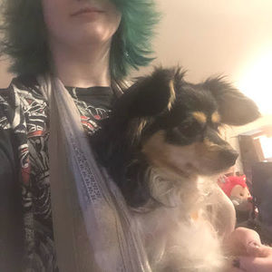 Meet your Posher, Spencer